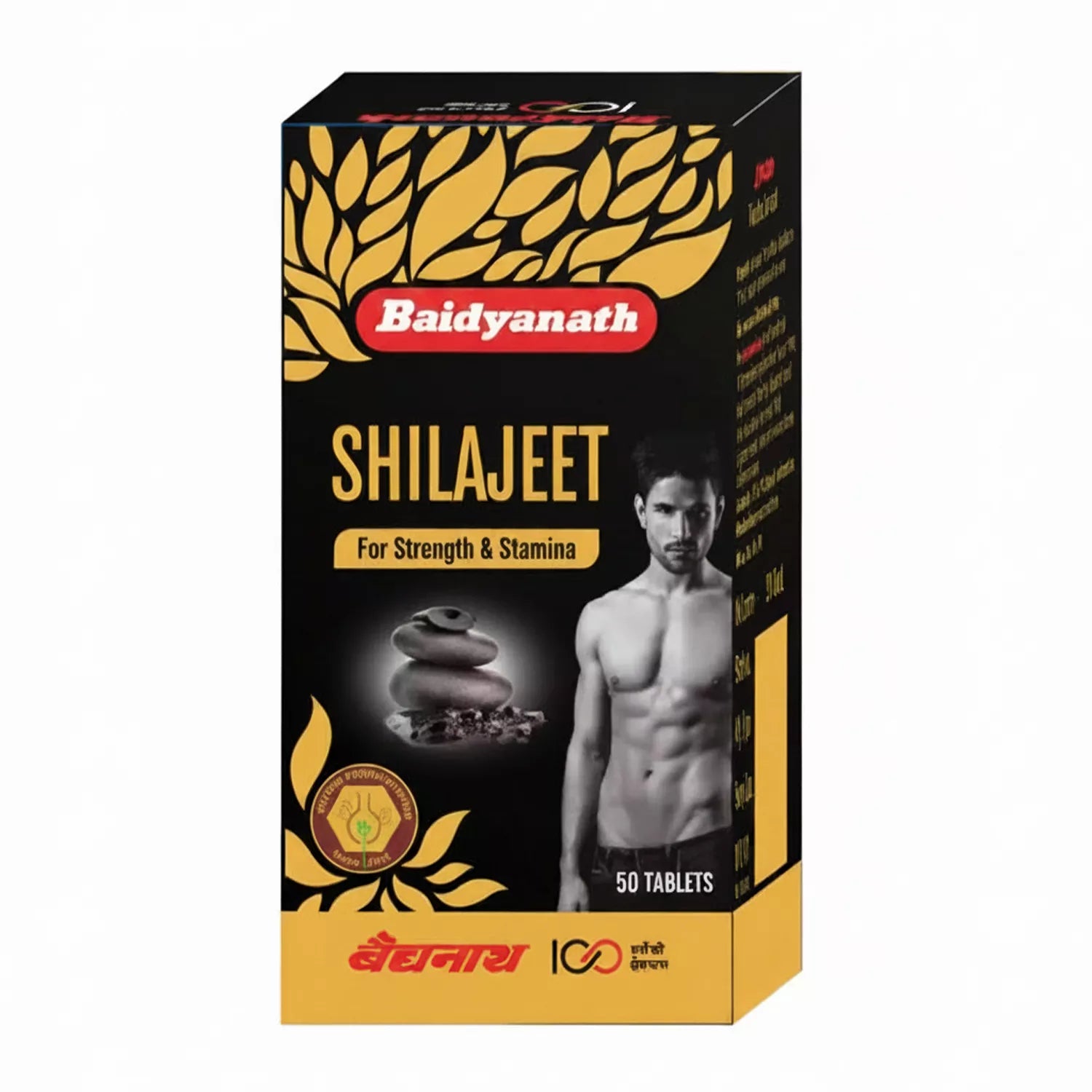 Baidyanath  Shilajeet Tablet