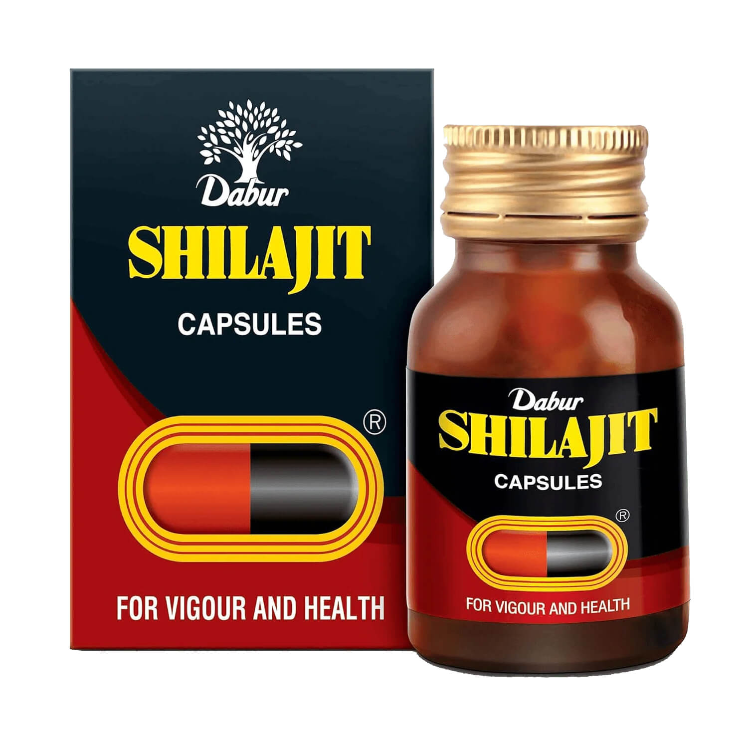 Dabur Shilajit Capsules