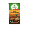 Organic India Tulsi Ginger Turmeric Tea